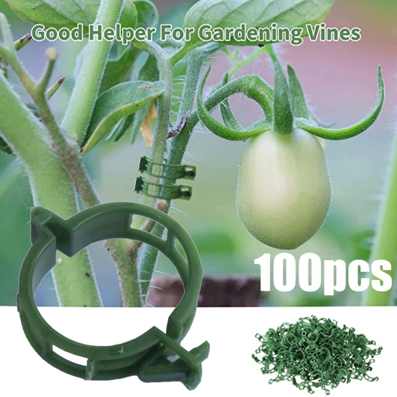 Gardening Tools Hoe - 100 STKS/Plant Ondersteuning Clip Plastic Banden