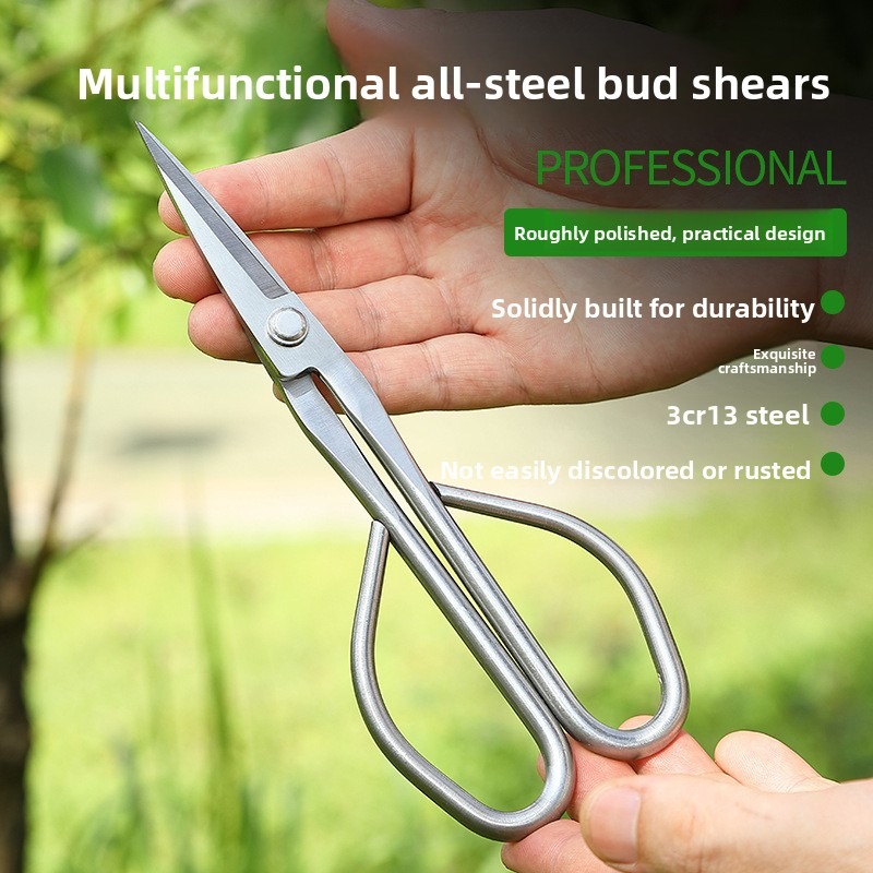 Bonsai Tool Set - Tender Leaf Schaar Bonsai Gereedschap Tak