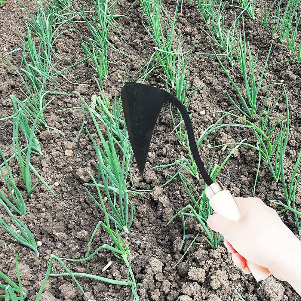 Landbouwwerktuigen Hoes Drieho - Gardening Tools Hoe recensie en prijs