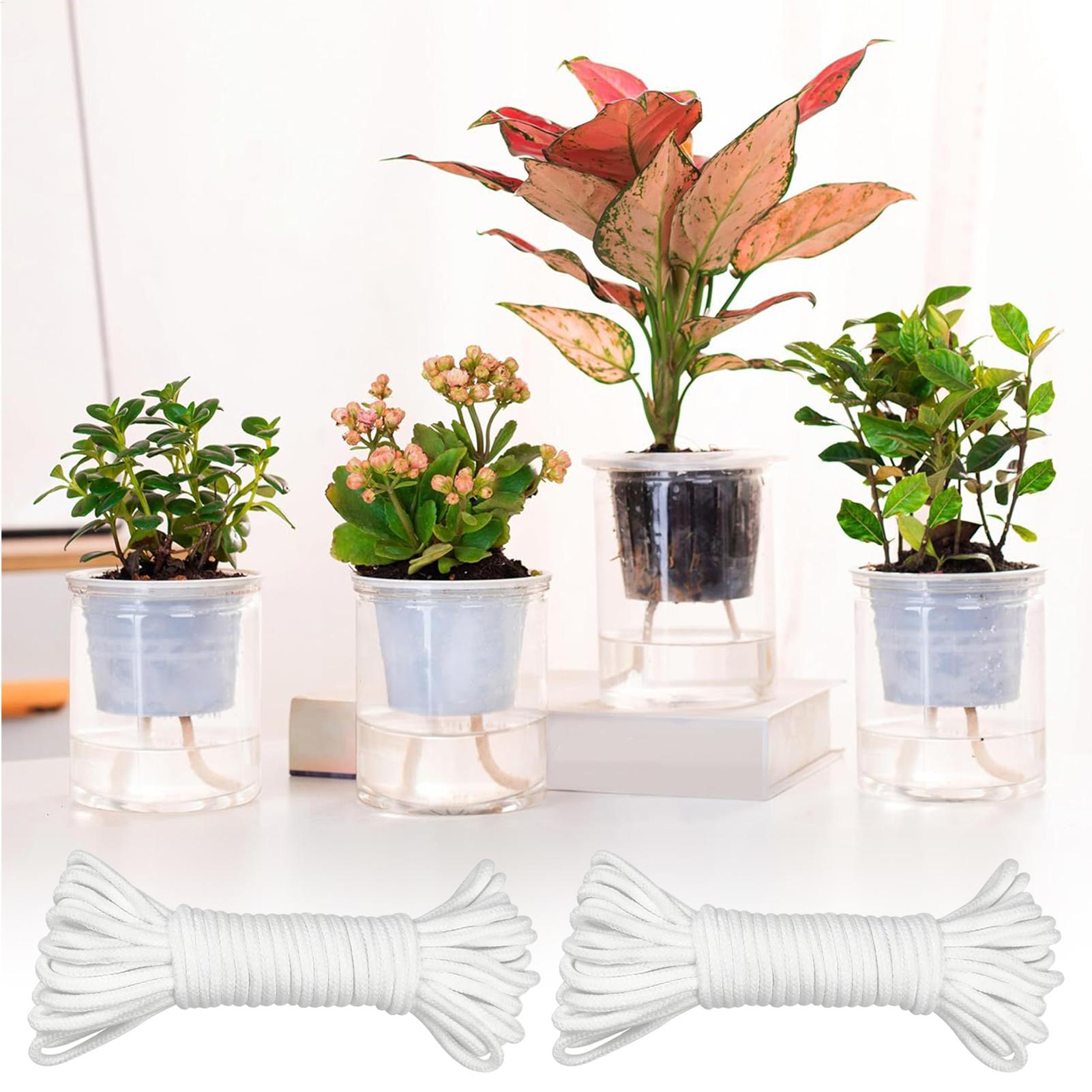 Plantenwikken voor zelfwaterge - Automatic Plant Waterer recensie en prijs