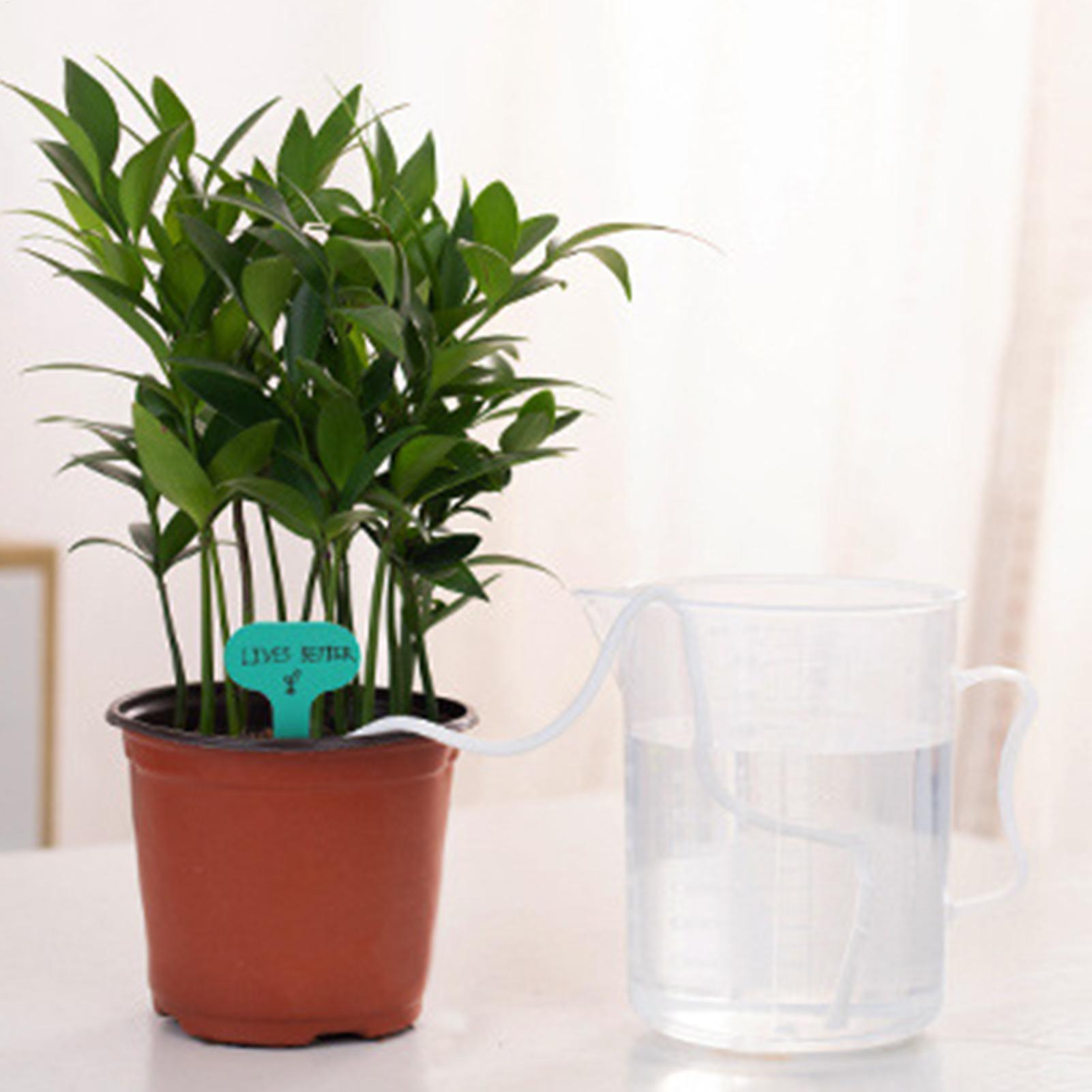 Plantenwikken voor zelfwaterge - Automatic Plant Waterer recensie en prijs