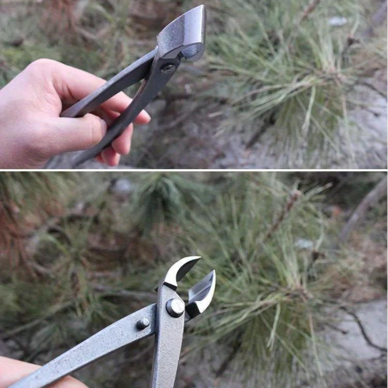 Bonsai Knop Cutter Concave Edg - Bonsai Tool Set recensie en prijs