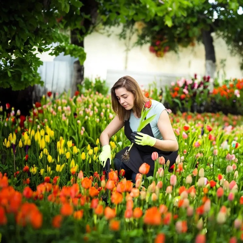 2-in-1 Tuinhark Handmatige Zaa - Gardening Tools Hoe recensie en prijs