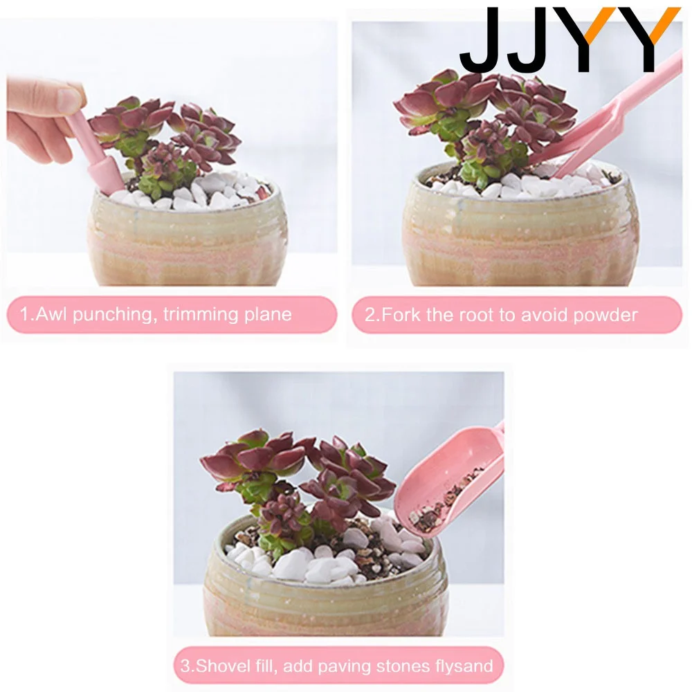 4-delige mini succulenten plan - Gardening Tools And Accessories recensie en prijs