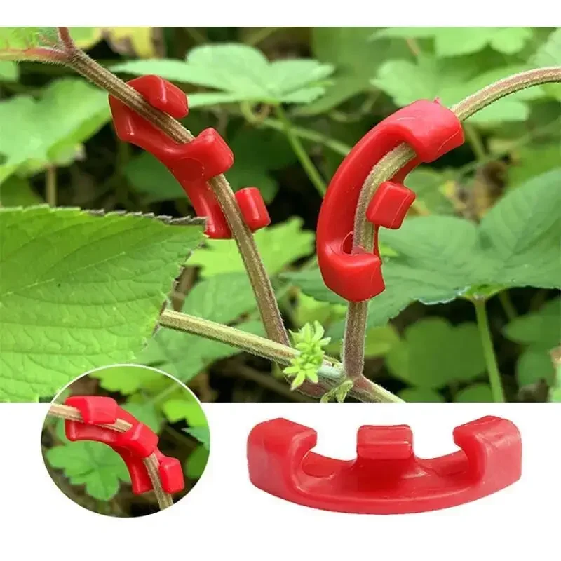 10-100 stuks plantenbuigers vo - Gardening Tools Lowes recensie en prijs