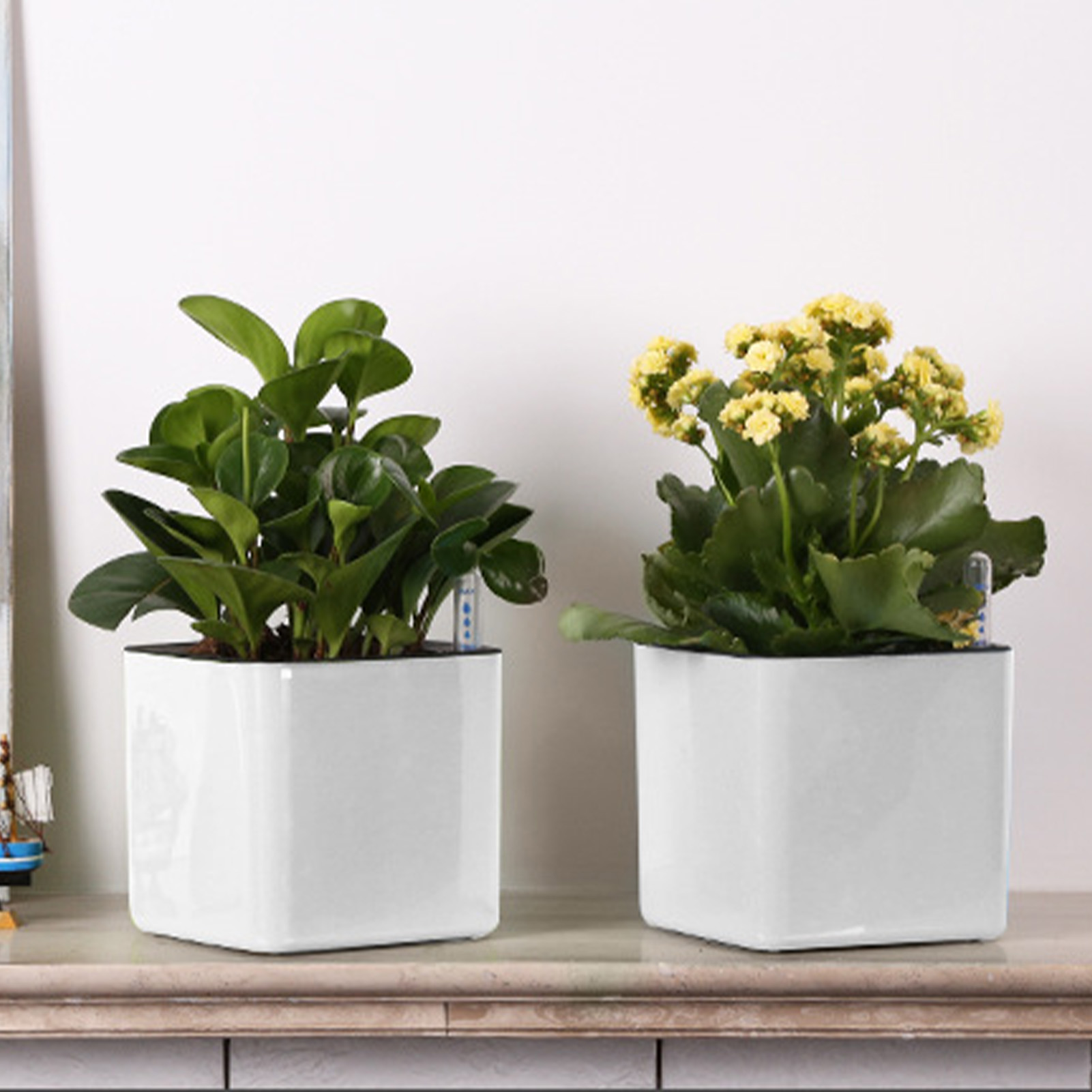 3-size luie bloempot groene pl - Automatic Plant Waterer recensie en prijs