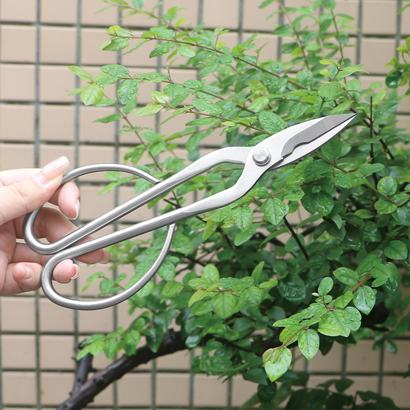 Volledig stalen tuinschaar, ge - Bonsai Tool Set recensie en prijs