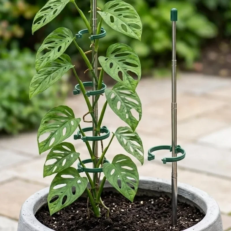 5/1PCS Intrekbare Plant Onders - Gardening Tools Hoe recensie en prijs