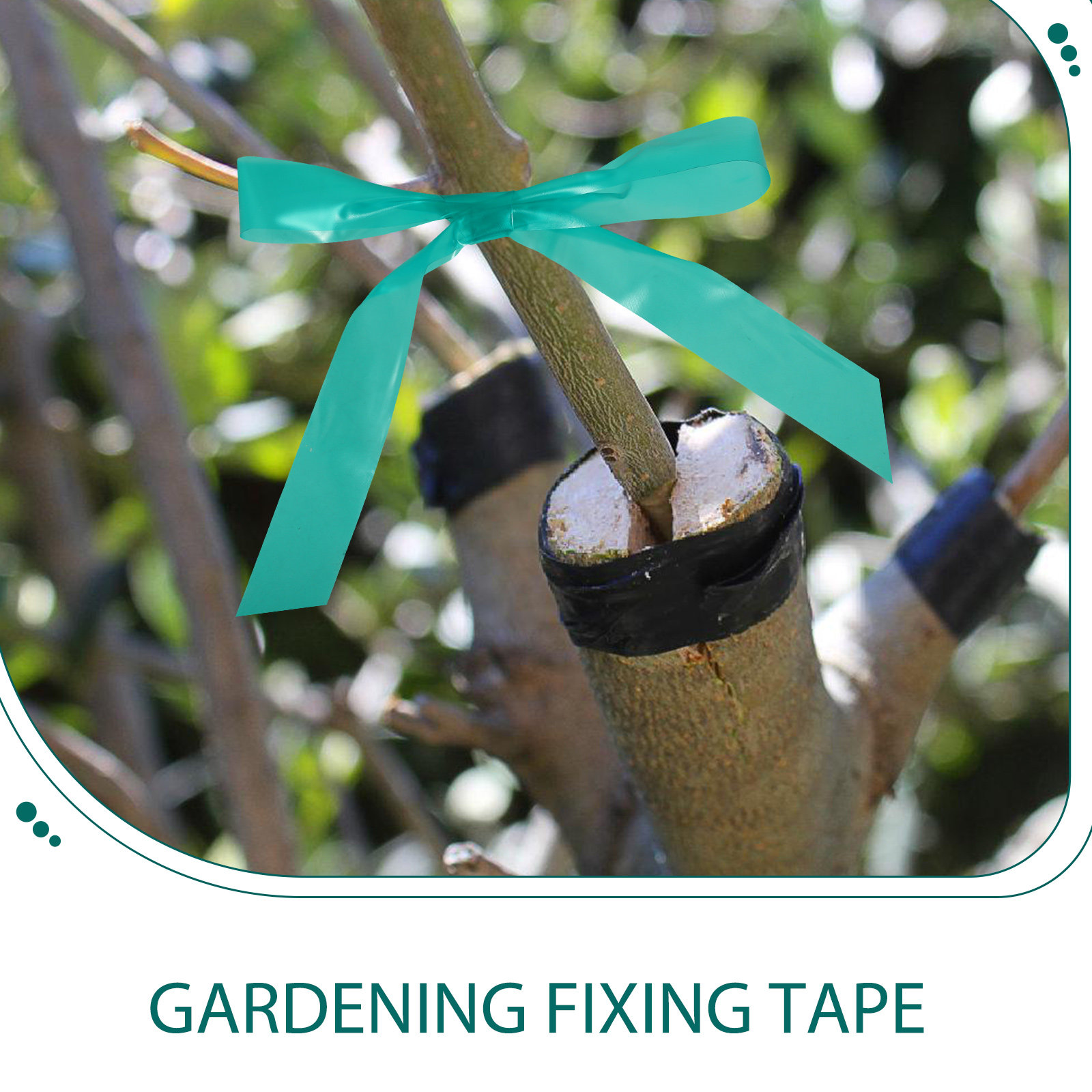 2 stuks 2 rollen rekbare entta - Gardening Tools Repair recensie en prijs