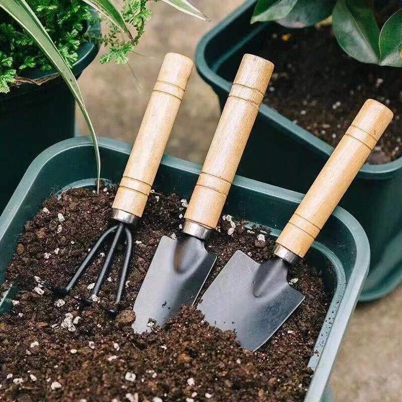 3PC/1Set Mini Tuingereedschap  - Gardening Tools Hoe recensie en prijs