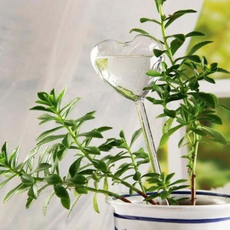 Huis/Tuin Water Kamerplant Pla - Gardening Tools Equipment recensie en prijs