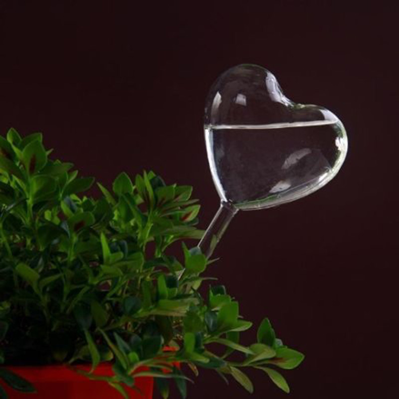Huis/Tuin Water Kamerplant Pla - Gardening Tools Equipment recensie en prijs