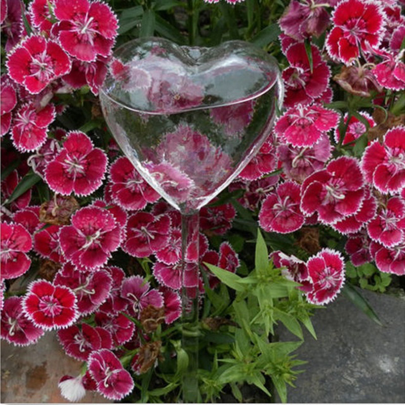 Huis/Tuin Water Kamerplant Pla - Gardening Tools Equipment recensie en prijs