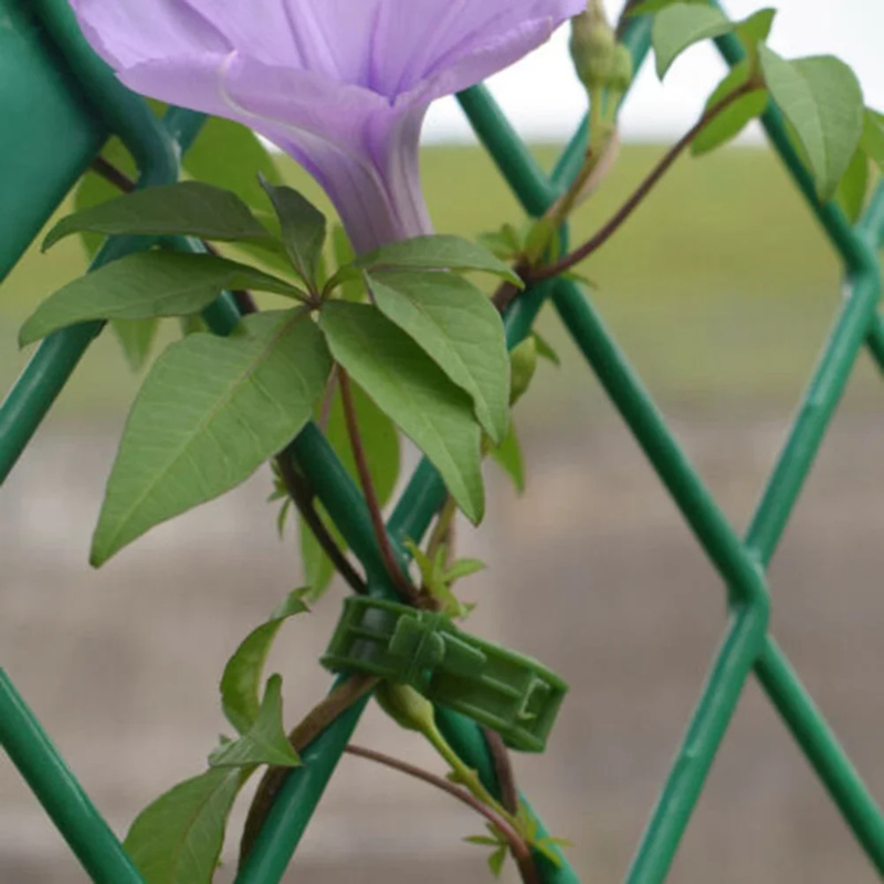 100 STKS/Plant Ondersteuning C - Gardening Tools Hoe recensie en prijs