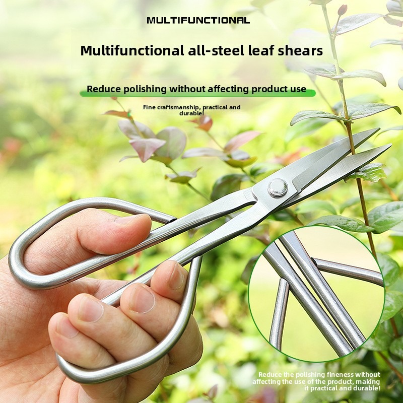 Tender Leaf Schaar Bonsai Gere - Bonsai Tool Set recensie en prijs