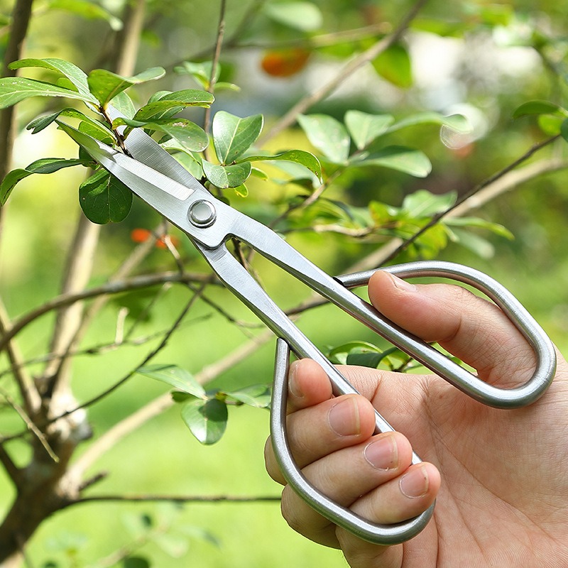 Tender Leaf Schaar Bonsai Gere - Bonsai Tool Set recensie en prijs