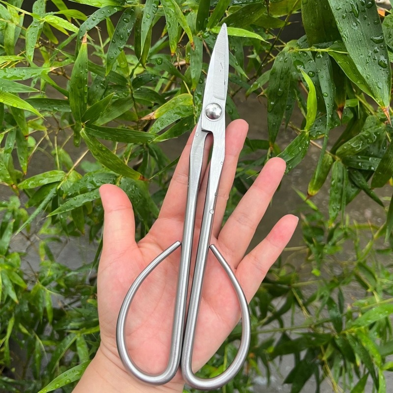 Tender Leaf Schaar Bonsai Gere - Bonsai Tool Set recensie en prijs