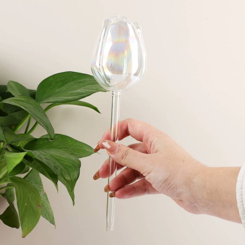 1 stuk glazen plantenwaterer,  - Automatic Plant Waterer recensie en prijs