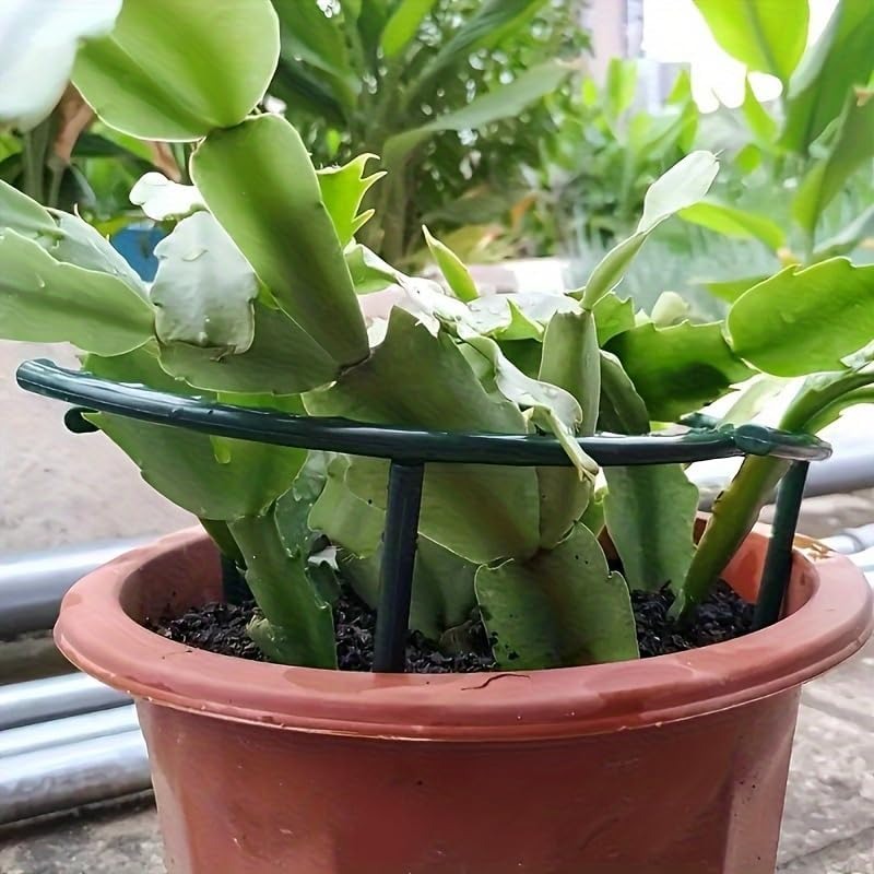 30-1PCS Plastic Plant Onderste - Gardening Tools Hoe recensie en prijs