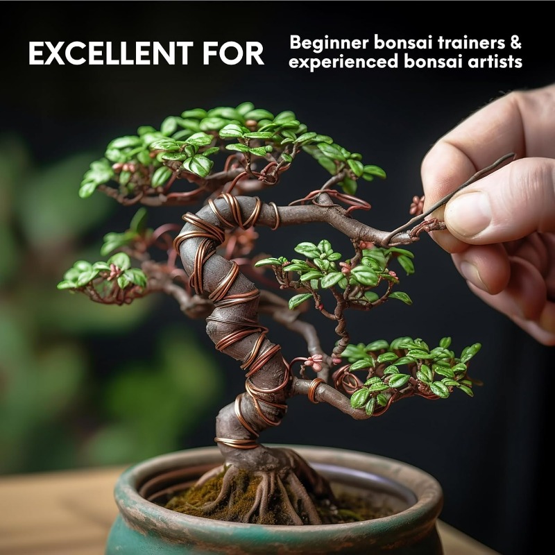 5M Bonsai Trainingsdraadset vo - Bonsai Tool Set recensie en prijs