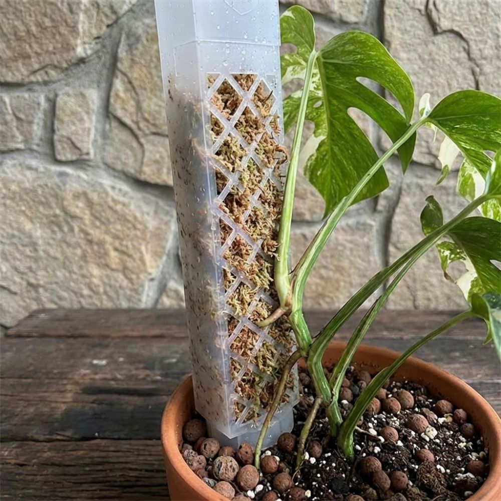 D-vormige zelfwatergevende pla - Automatic Plant Waterer recensie en prijs