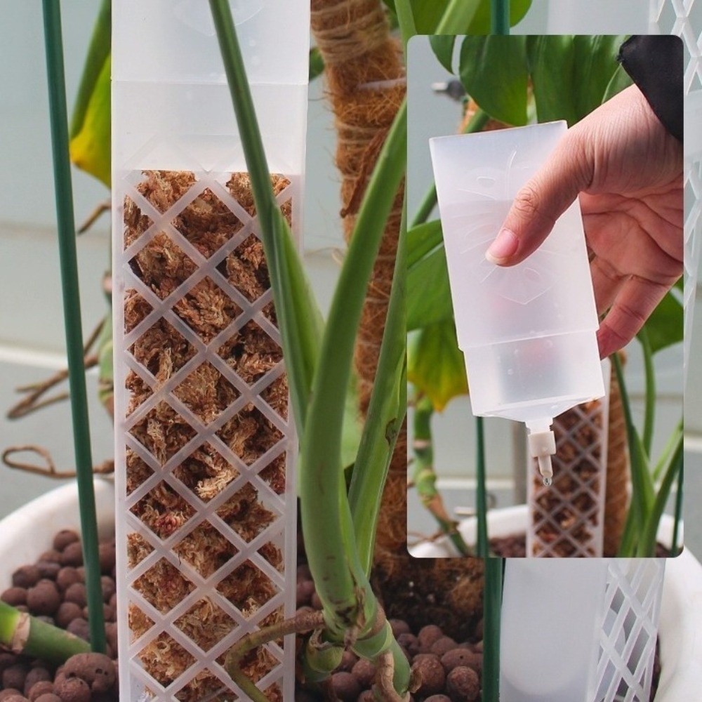D-vormige zelfwatergevende pla - Automatic Plant Waterer recensie en prijs
