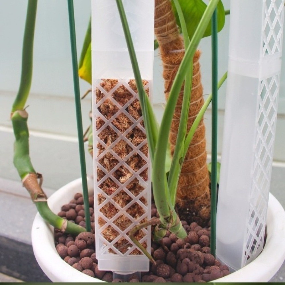 D-vormige zelfwatergevende pla - Automatic Plant Waterer recensie en prijs