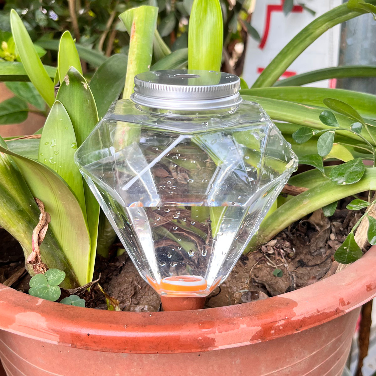 1 stks Leuke Plastic Watering  - Automatic Plant Waterer recensie en prijs