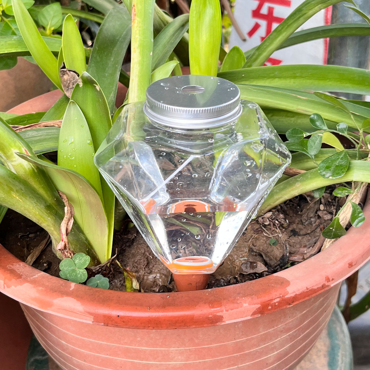 1 stks Leuke Plastic Watering  - Automatic Plant Waterer recensie en prijs