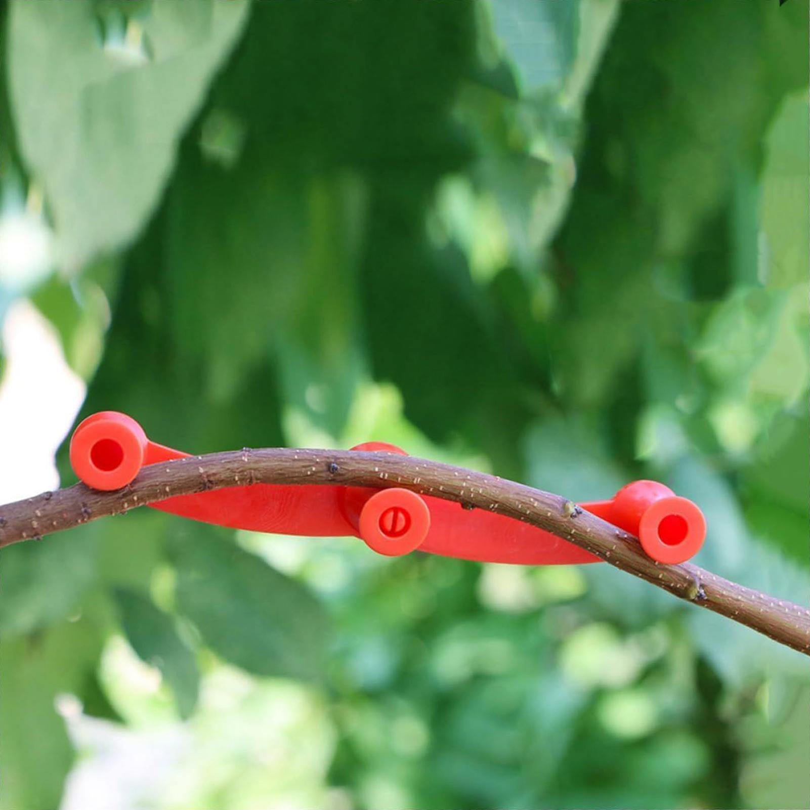10 Stuks Plant Training Clips  - Gardening Tools Lowes recensie en prijs