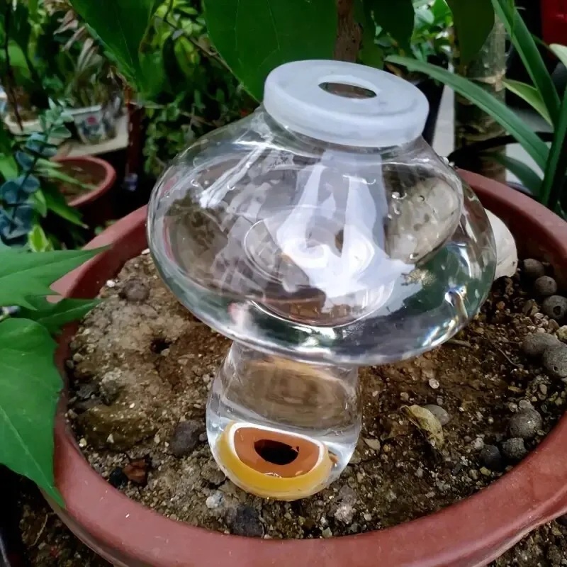 Automatische plantenwaterer, d - Automatic Plant Waterer recensie en prijs